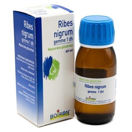 Ribes Nigrum Gemme 60ml Mg Boiron