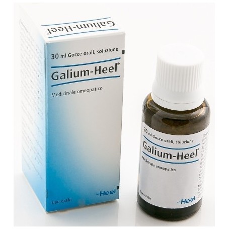 Galium 30ml Gtt Heel