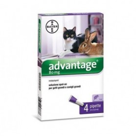 Advantage 4pip 0,8ml Spot-on antiparassitario gatti e conigli grandi