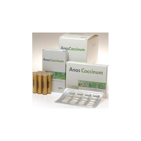 Anas Coccinum H 17 30f Glo