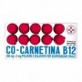 Cocarnetina B12 os 10 fiale 10ml Denutrizione